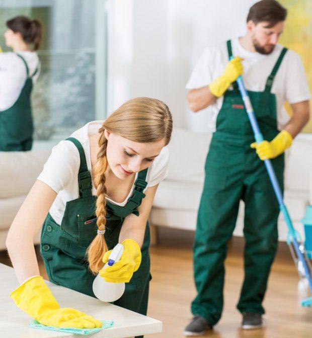 Move-In Carpet Refresh