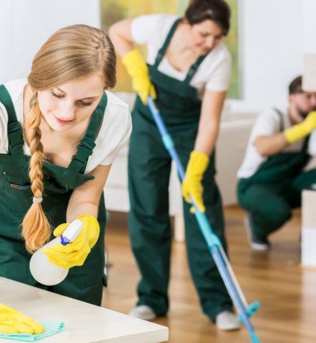 Commercial Office Carpets